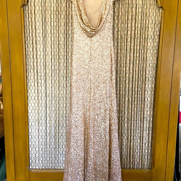 Champagne Sequined Evening Dress - Picture 3 of 10